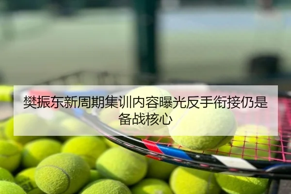 樊振东新周期集训内容曝光反手衔接仍是备战核心