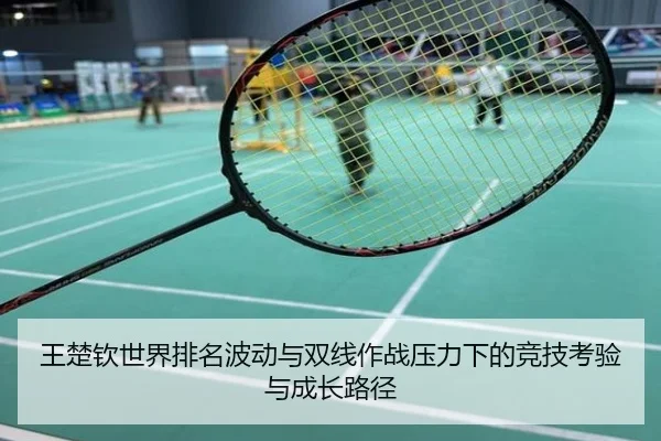 王楚钦世界排名波动与双线作战压力下的竞技考验与成长路径